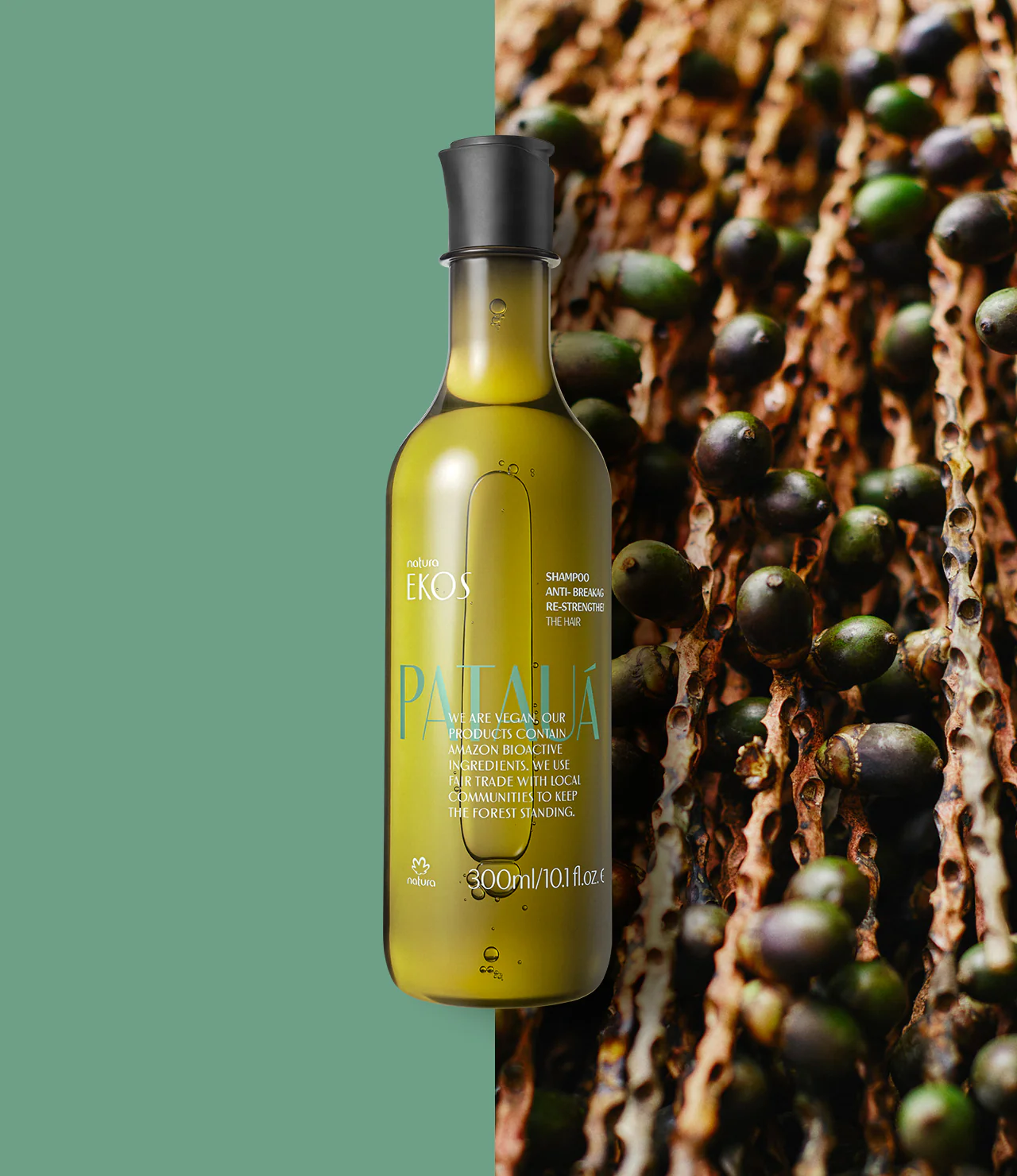 Ekos Patauá Hair Anti-Breakage Re-Strengthening Shampoo 4 Ekos Patauá Hair Anti-Breakage Re-Strengthening Shampoo